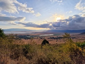 Safari - Ngorongoro Crater NP